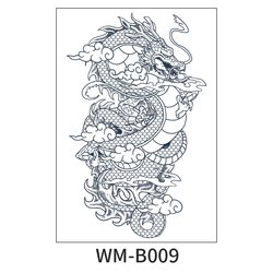 WM-B009